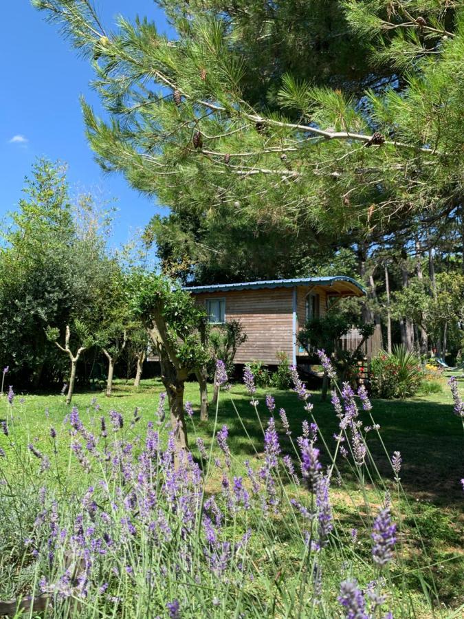 La Roulotte De Negra Apartment Montesquieu-Lauragais